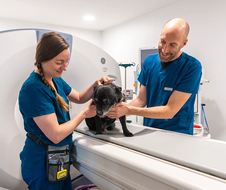Deux sp&eacute;cialistes en neurologie