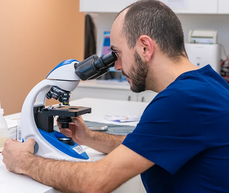 Endocrinologie