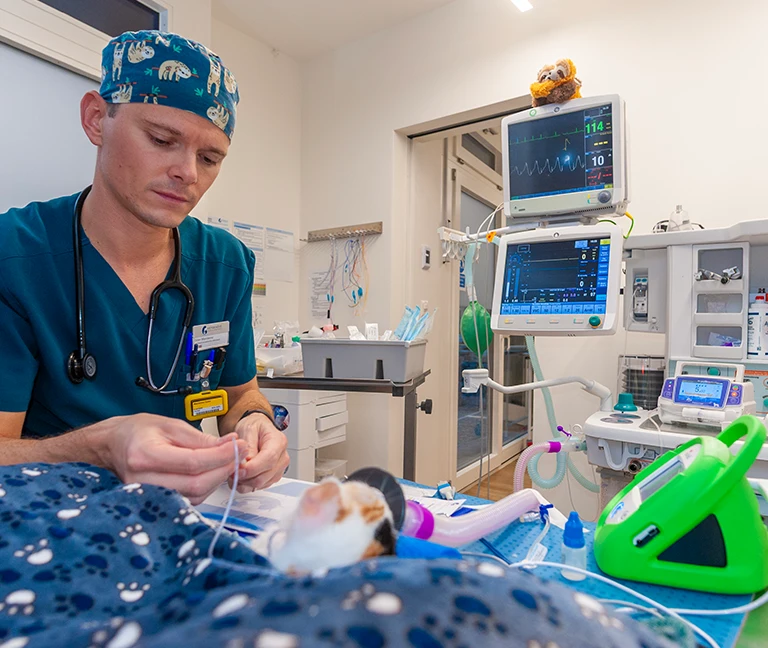 La chirurgie laparoscopique