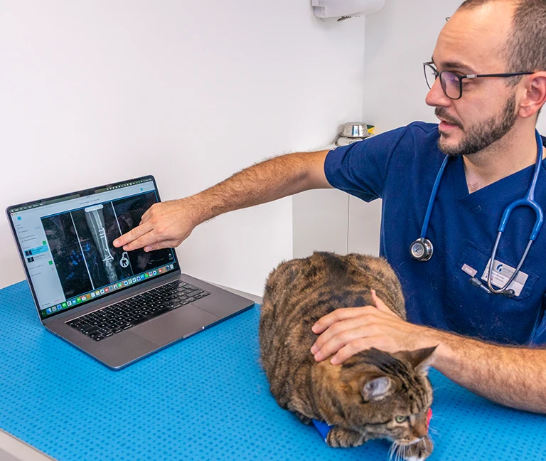 La chirurgie orthop&eacute;dique et traumatologique