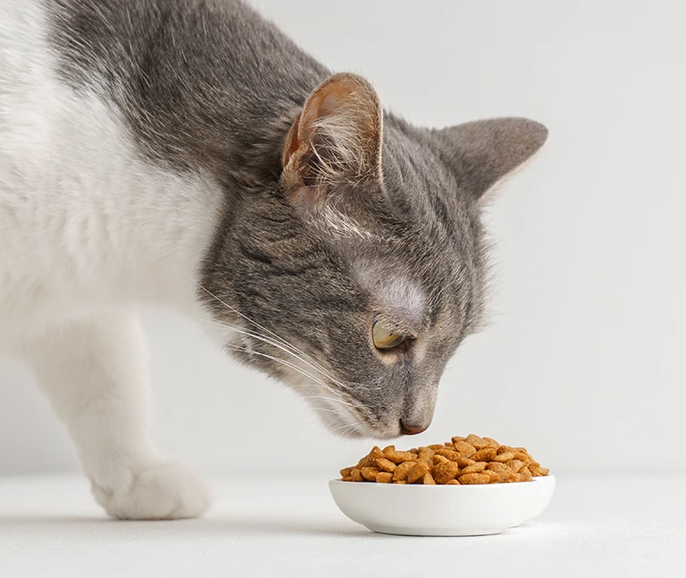 Une alimentation adapt&eacute;e &agrave; chaque &eacute;tape