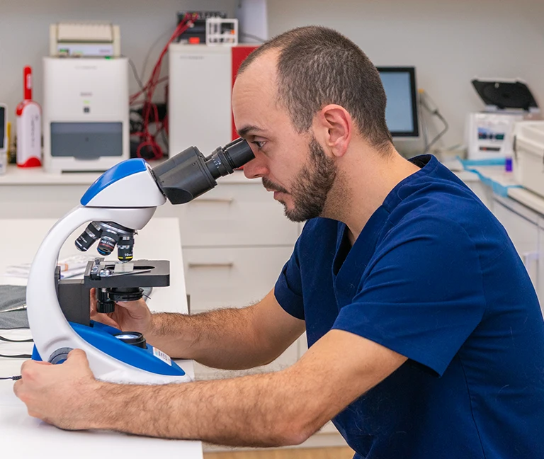 L'h&eacute;matologie